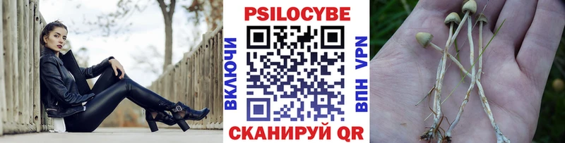 где купить наркоту  Новопавловск  Галлюциногенные грибы прущие грибы 